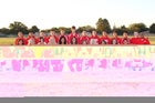 Roswell Coyotes Boys JV Cross Country Fall 14-15 team photo.