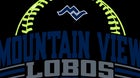 Mountain View Lobos Girls Varsity Softball Spring 25-26 team photo.
