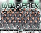 Green Canyon Wolves Boys Varsity Wrestling Winter 17-18 team photo.