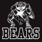 Central Bears Boys Varsity Wrestling Winter 17-18 team photo.