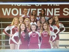 Western Yell County Wolverines Co-ed Varsity Cheer Fall 15-16 team photo.