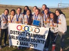 Taos Tigers Girls Varsity Cross Country Fall 17-18 team photo.