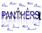 Jal Panthers Co-ed Varsity Cheer Winter 15-16 team photo.