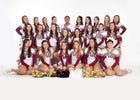 Valley Vikings Co-ed Varsity Cheer Winter 15-16 team photo.