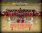 Robertson Cardinals Co-ed Varsity Cheer Winter 15-16 team photo.