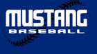 Needles Mustangs Boys Varsity Baseball Spring 24-25 team photo.