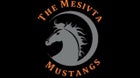 Mesivta Mustangs Boys Varsity Baseball Spring 24-25 team photo.