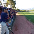 Sahuaro Cougars Boys Varsity Baseball Spring 24-25 team photo.