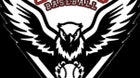 Valley View Eagles Boys Varsity Baseball Spring 24-25 team photo.