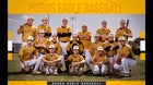 Hobbs Eagles Boys Varsity Baseball Spring 24-25 team photo.