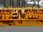 Ruidoso Warriors Boys Varsity Track & Field Spring 14-15 team photo.