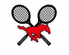 Middle Creek Mustangs Boys Varsity Tennis Spring 16-17 team photo.