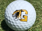 Gilbert Tigers Boys Varsity Golf Fall 18-19 team photo.