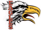 Q Foundation Fighting Falcons Boys Varsity Football Fall 16-17 team photo.