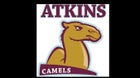 Atkins Camels Boys Varsity Swimming Winter 20-21 team photo.