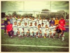 Chaminade-Madonna Lions Boys Varsity Soccer Fall 15-16 team photo.