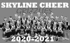 Skyline Grizzlies Co-ed Varsity Cheer Winter 20-21 team photo.