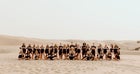 Rigby Trojans Co-ed Varsity Cheer Winter 20-21 team photo.