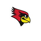 Landrum Cardinals Boys Varsity Football Fall 25-26 team photo.