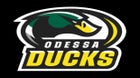 Odessa Ducks Boys Varsity Football Fall 25-26 team photo.