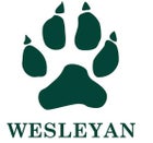 Wesleyan Wolves Boys Varsity Wrestling Winter 21-22 team photo.