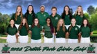 Dutch Fork Silver Foxes Girls Varsity Golf Fall 26-27 team photo.