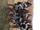 Raton Tigers Co-ed Varsity Dance Team Winter 16-17 team photo.