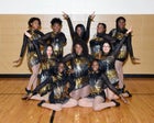 Hot Springs Trojans Co-ed Varsity Dance Team Winter 16-17 team photo.