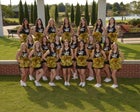 Bentonville Tigers Co-ed Varsity Dance Team Winter 16-17 team photo.