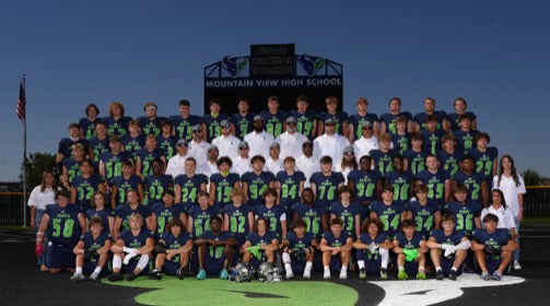 mountain view high football roster
