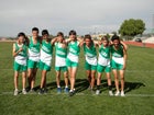 Albuquerque Bulldogs Boys Varsity Cross Country Fall 15-16 team photo.