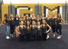 Green Mountain Rams Girls Varsity Gymnastics Fall 15-16 team photo.