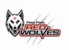 Paw Paw Redskins Boys Varsity Track & Field Spring 20-21 team photo.