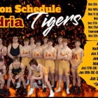 Alexandria-Monroe Tigers Boys Varsity Wrestling Winter 24-25 team photo.