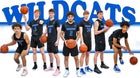 Hilliard Davidson Wildcats Boys Varsity Basketball Winter 25-26 team photo.