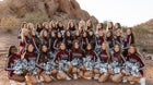 Desert Mountain Wolves Co-ed Varsity Cheer Winter 26-27 team photo.