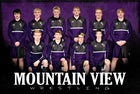 Mountain View Buffaloes Boys Varsity Wrestling Winter 19-20 team photo.