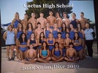 Cactus Cobras Girls Varsity Swimming Fall 18-19 team photo.