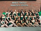 Lander Valley Tigers Girls Varsity Swimming Fall 18-19 team photo.