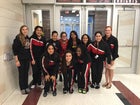 Goode STEM Academy Knights Girls Varsity Swimming Fall 16-17 team photo.