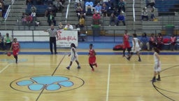 Glynn Academy girls basketball highlights vs. Camden County High