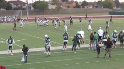 Efren Young's highlights Spring Game Green vs White