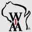 2023 Wisconsin High School Girls Volleyball Playoff Brackets: WIAAWI Division 1