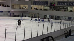 Sartell-St. Stephen girls ice hockey highlights vs. Brainerd High School