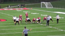 Northwestern football highlights vs. Cumberland