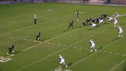 Payton Hall's highlights Shelbyville Central High School