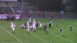 Chapman football highlights vs. Concordia