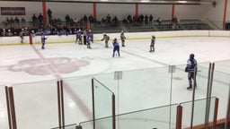 Minnetonka girls ice hockey highlights Farmington High School