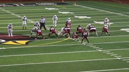 Henry Campion's highlights St. Francis High School