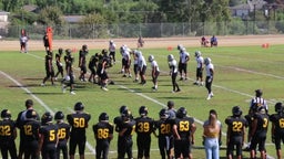 Sunny Hills football highlights Buena Park
